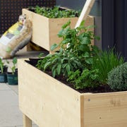 raised garden bed with herbs